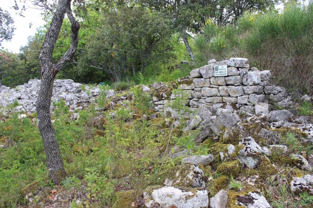 Fort (vestiges du) : vue partielle d’une muraille