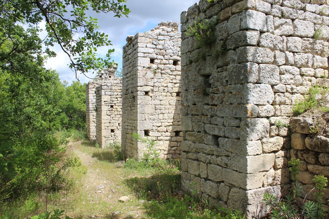 Fort (vestiges du) : église, façade latérale nord-ouest, vue partielle