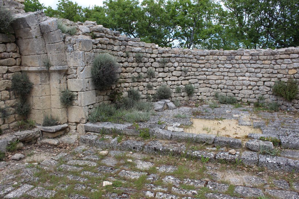 Fort (vestiges du) : choeur, vue partielle des ruines