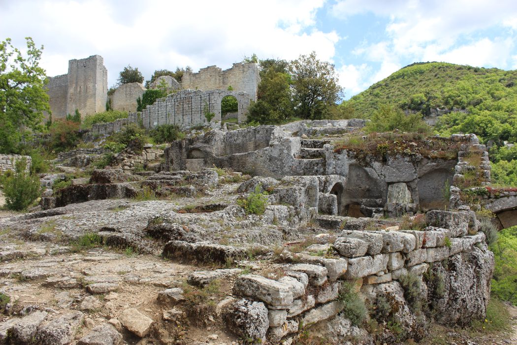 Fort (vestiges du) : vue générale des ruines en direction du Sud-Est