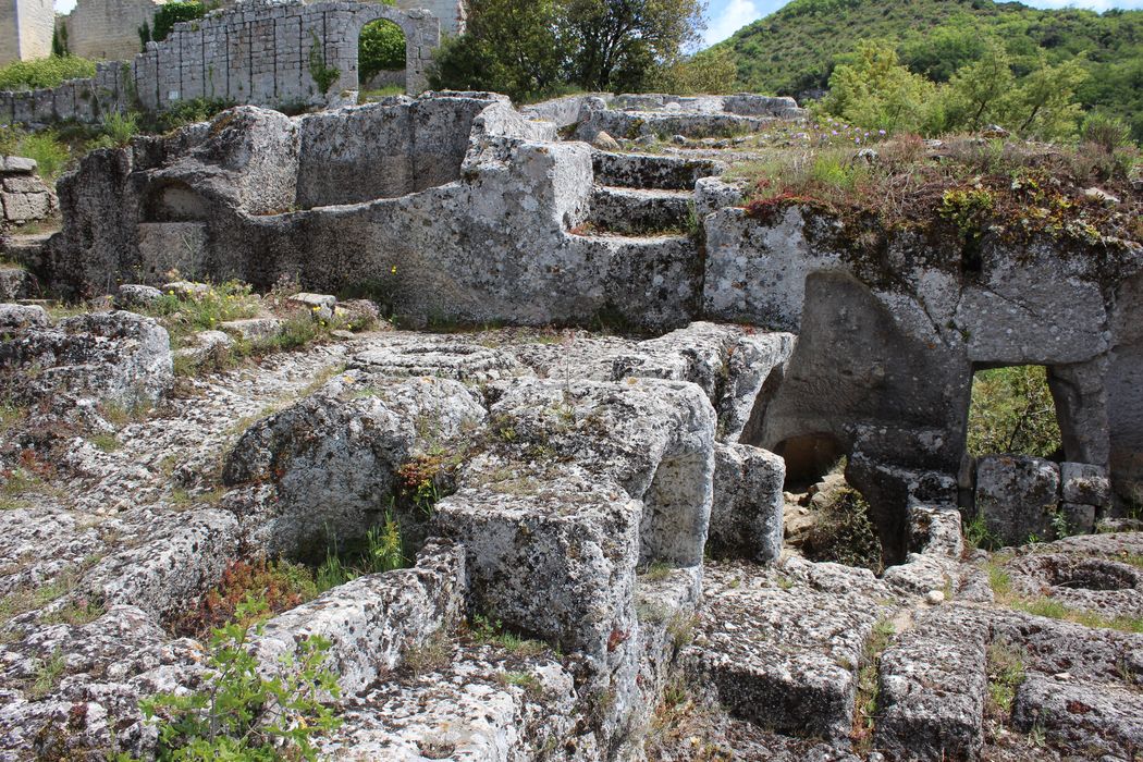 Fort (vestiges du) : vestiges d’habitations rupestres, vue partielle