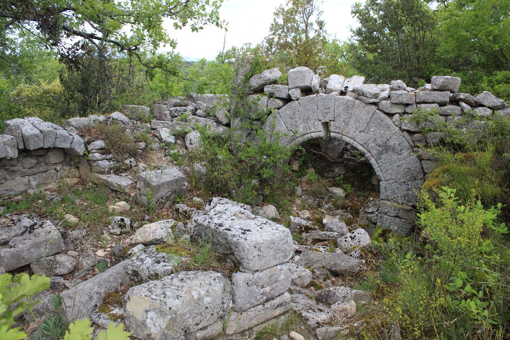 Fort (vestiges du) : ruines de la maison commune du village médiéval, vue partielle