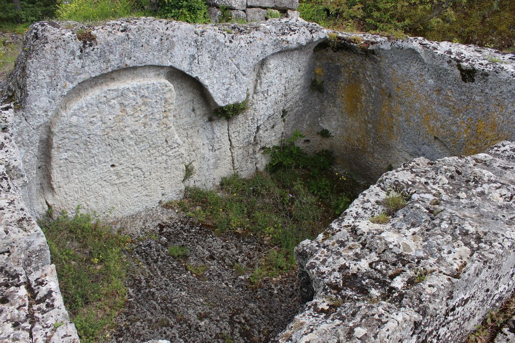 Fort (vestiges du) : vestiges d’habitations rupestres, vue partielle