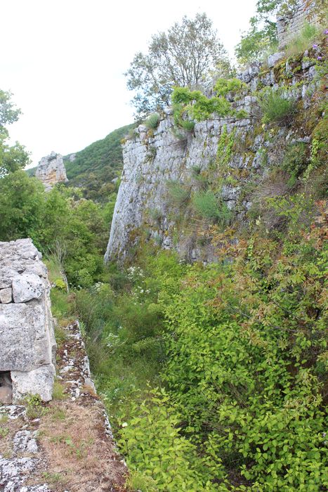 Fort (vestiges du) : 1er fossé, vue générale