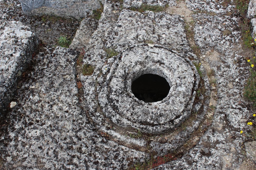 Fort (vestiges du) : silos, détail d’un couvercle