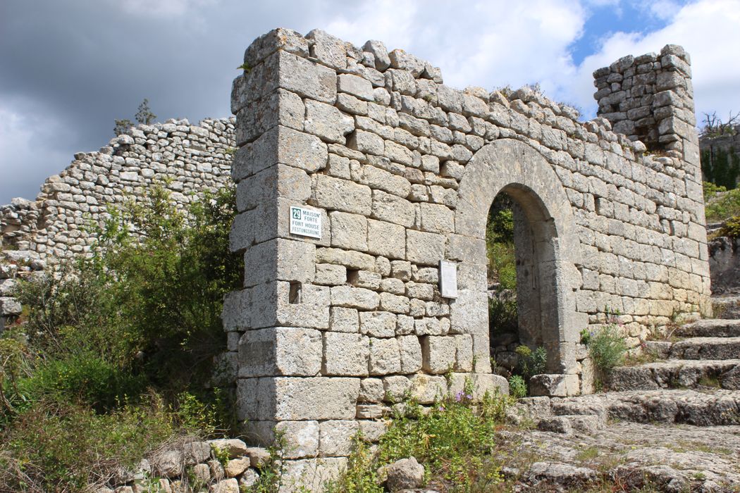 Fort (vestiges du) : ruines de la maison forte, vue générale