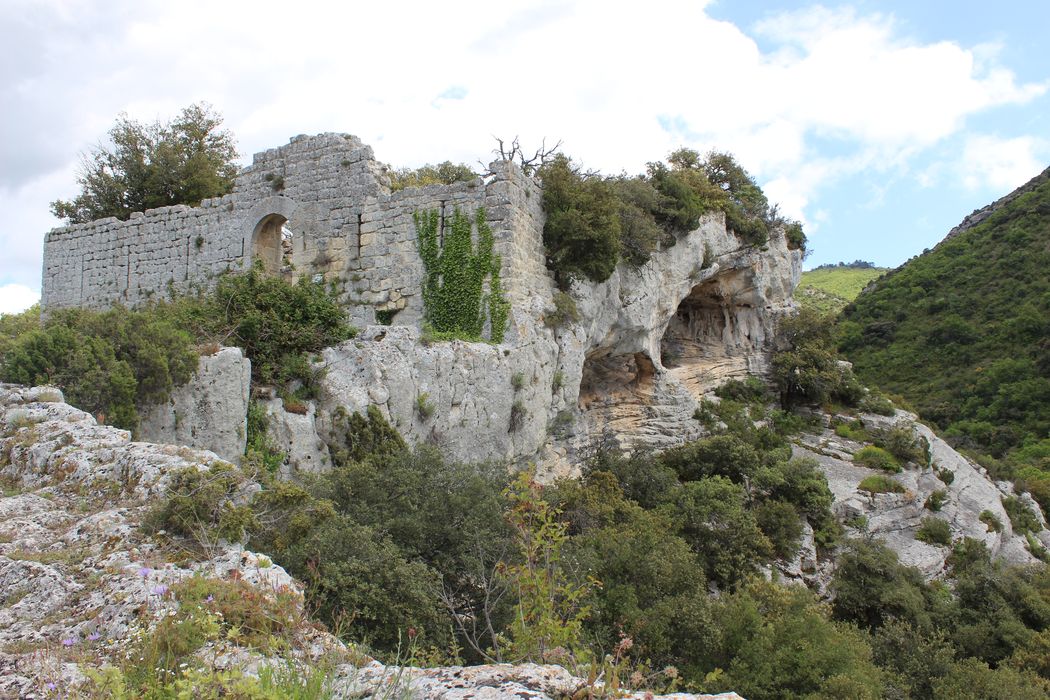 Fort (vestiges du) : ruines du 3e rempart, vue générale