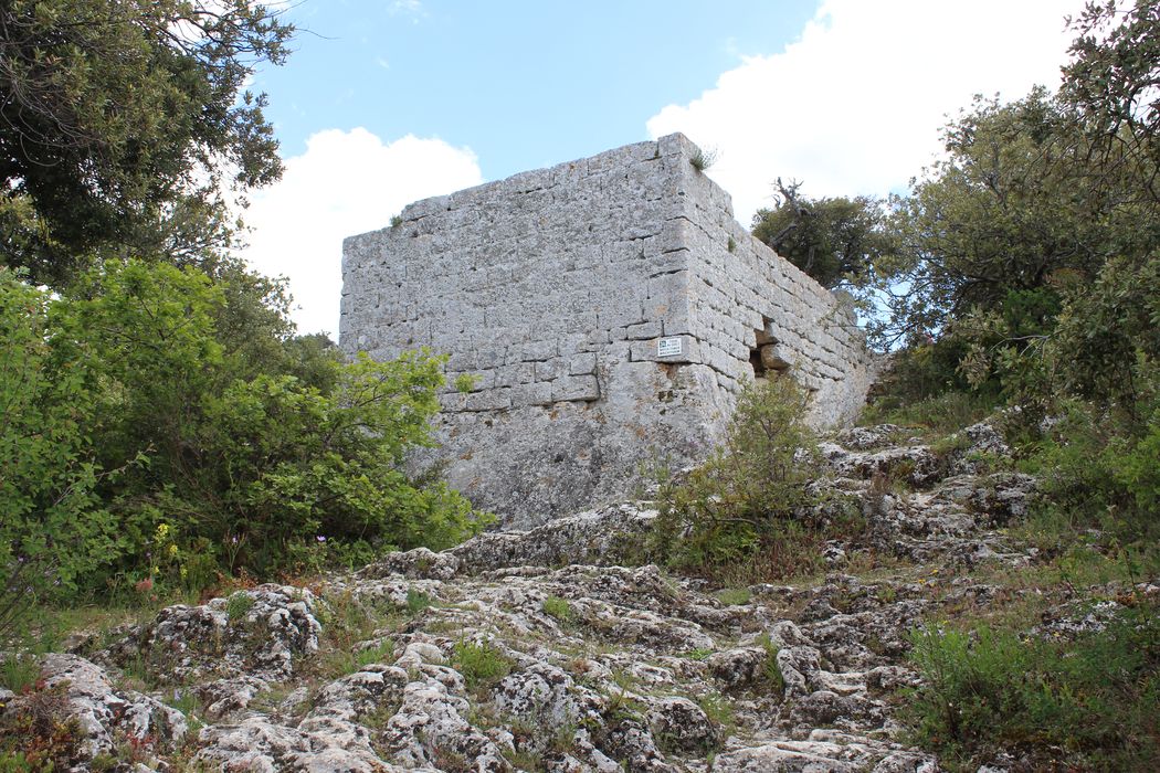 Fort (vestiges du) : tour de guet (donjon), vue générale des ruines