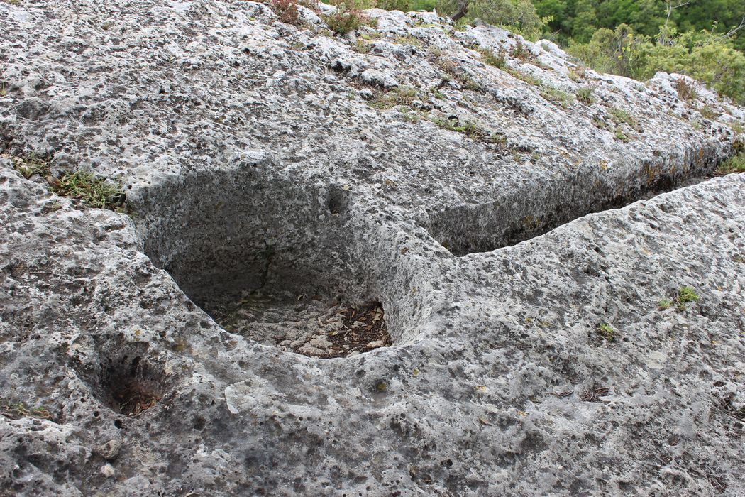 Fort (vestiges du) : détail de la cupule celtoligure à proximité de la tour de guet