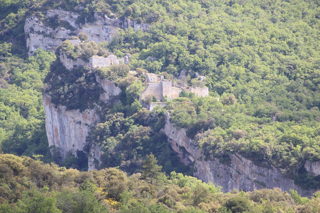 Fort (vestiges du) : vue générale des vestiges dans leur environnement depuis le village de Buoux au Nord