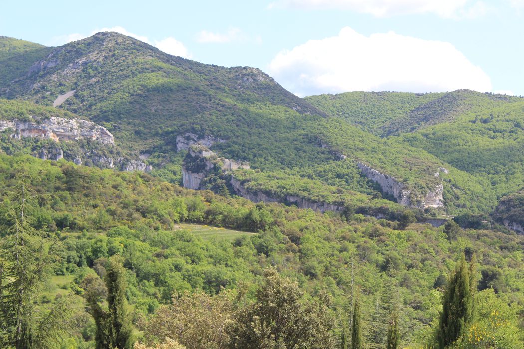 Fort (vestiges du) : vue générale du site depuis le village de Buoux au Nord