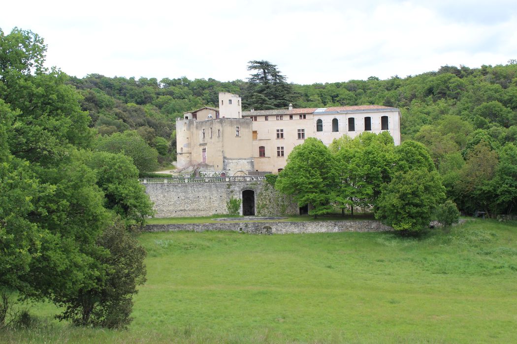 Château : vue générale du château dans son environnement depuis le Nord