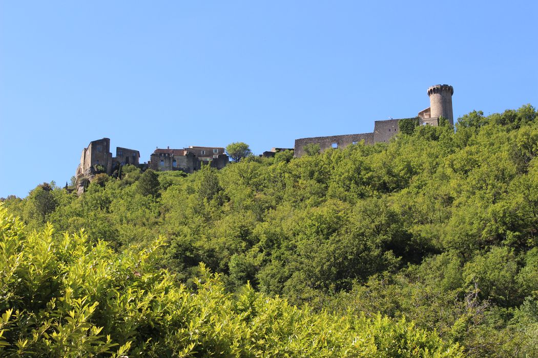 Village de Viens : vue générale des remparts depuis l’Est