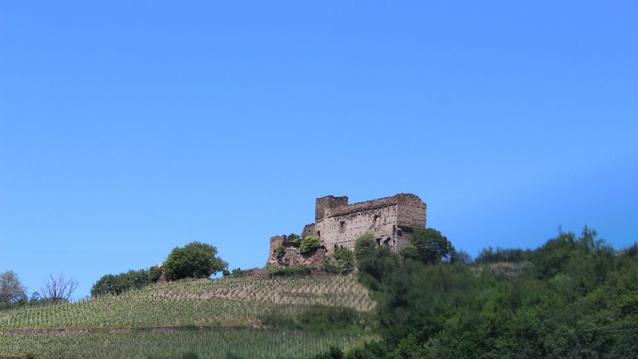 Château ruiné : vue générale du château dans son environnement depuis le Sud-Ouest