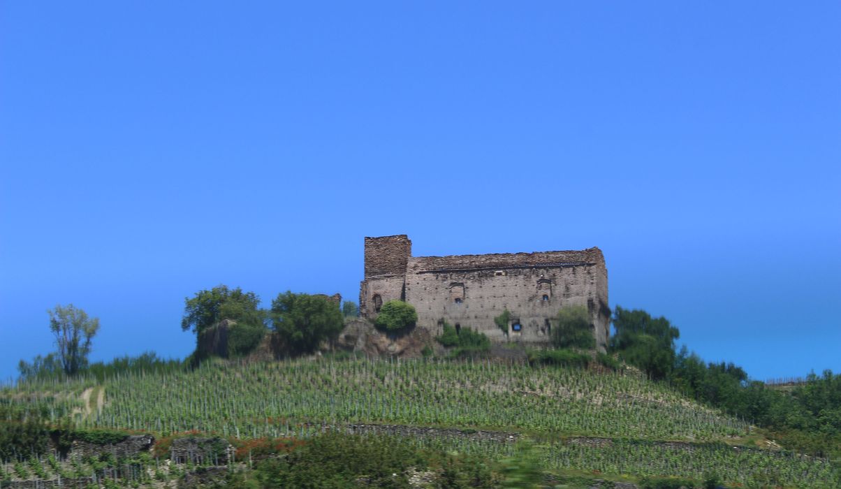 Château ruiné : ensemble ouest, vue générale