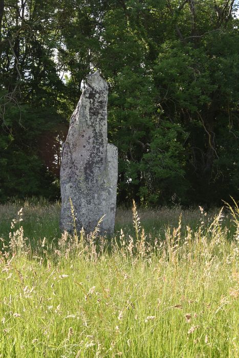 Vue générale du menhir