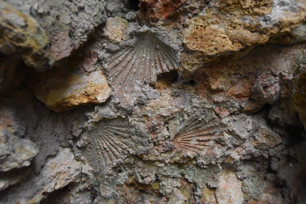 glacière, détail des décors de la maçonneries