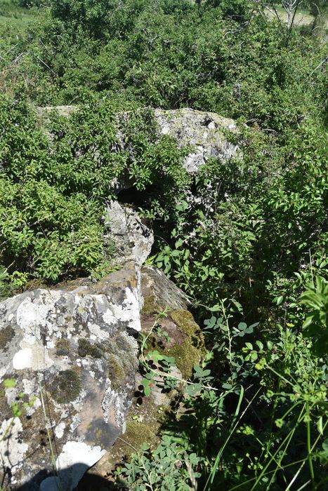 vue partielle du dolmen