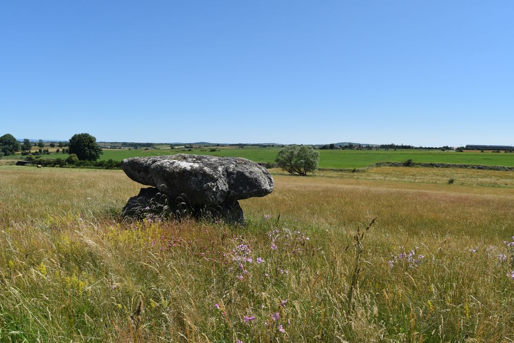 vue générale du dolmen dans son environnement