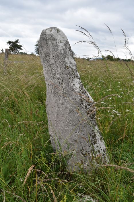 vue générale du menhir