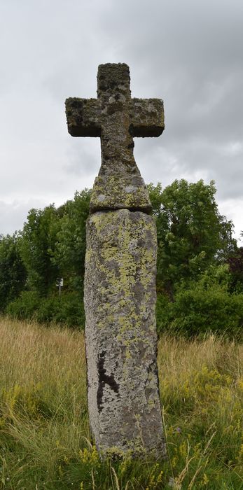 vue générale du menhir