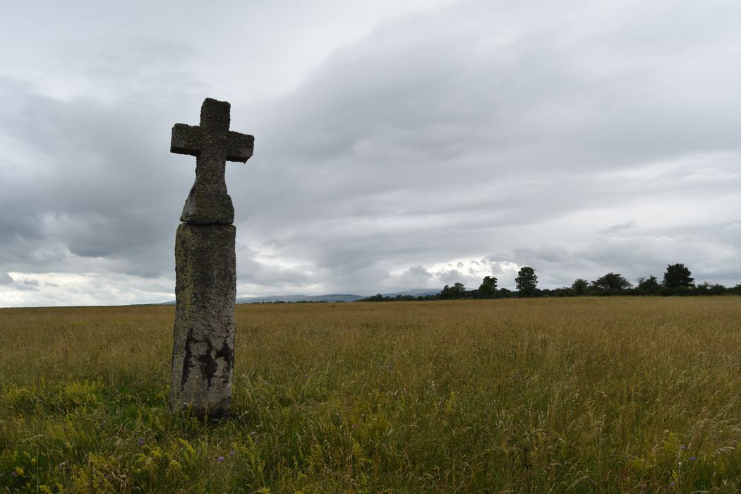 vue générale du menhir