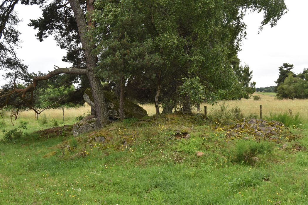 vue générale du dolmen dans son environnement