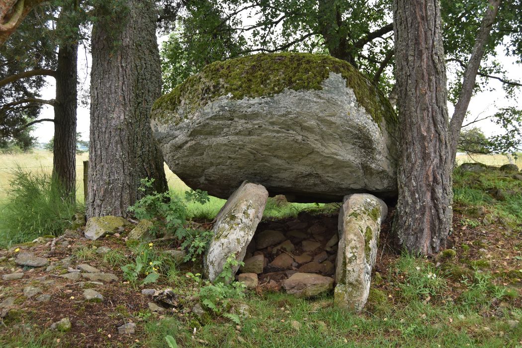 vue générale du dolmen