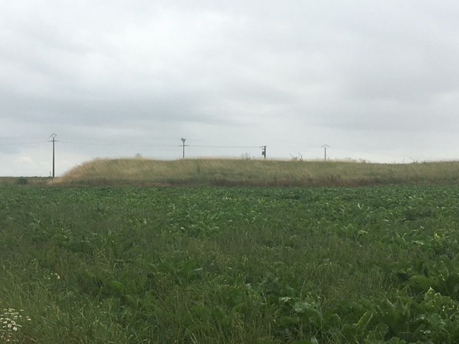 vue générale de la motte depuis le Nord