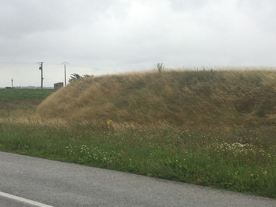 vue générale de la motte depuis l'Est