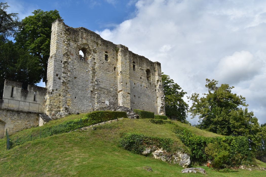 ruines du donjon, élévation nord-est, vue générale