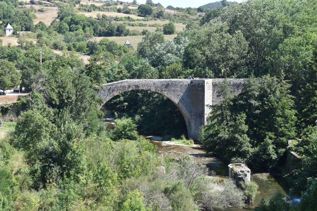 vue générale du pont dans son environnement depuis l'aval