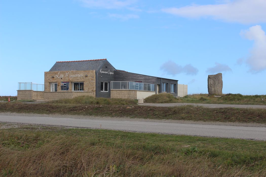 vue générale du menhir dans son environnement depuis le Sud