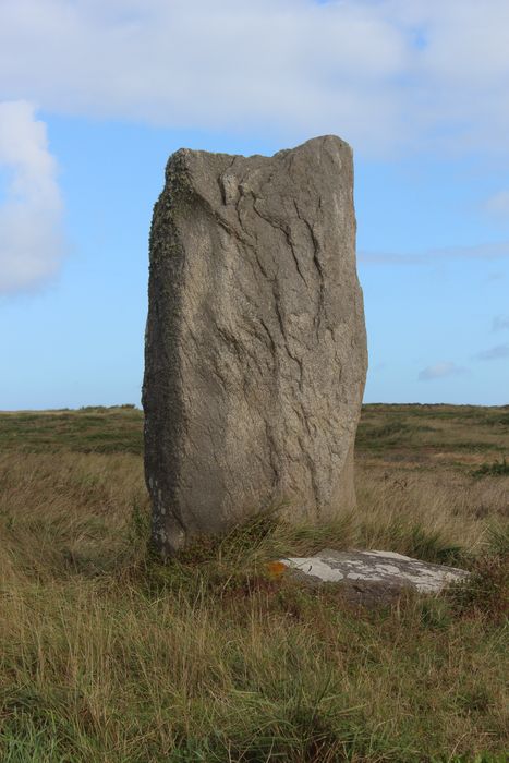 vue générale du menhir dans son environnement