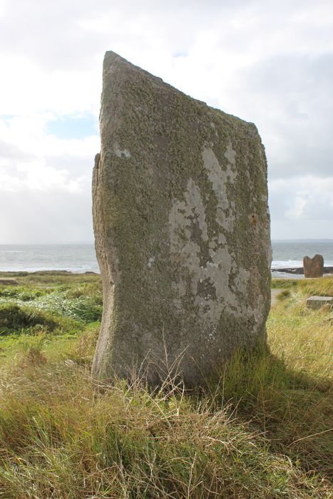 vue générale du menhir dans son environnement