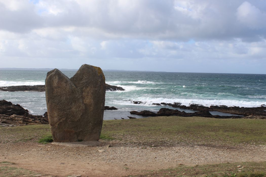 vue générale du menhir dans son environnement