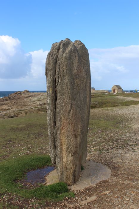 vue générale du menhir dans son environnement