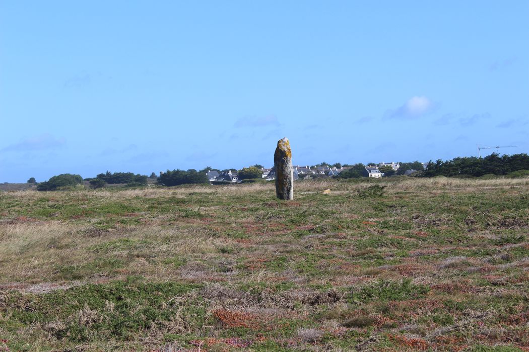 vue générale du menhir dans son environnement depuis l'Ouest