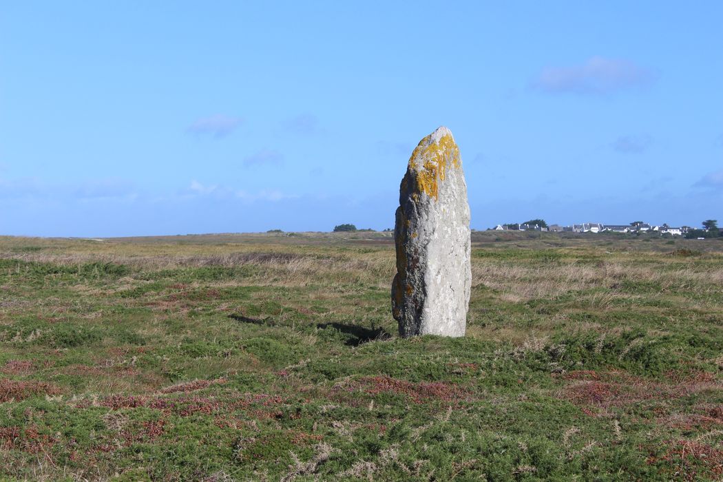 vue générale du menhir dans son environnement