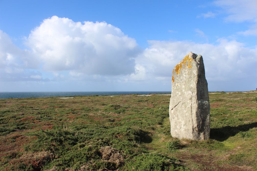 vue générale du menhir dans son environnement