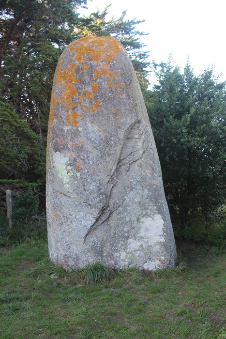 vue générale du menhir dans son environnement