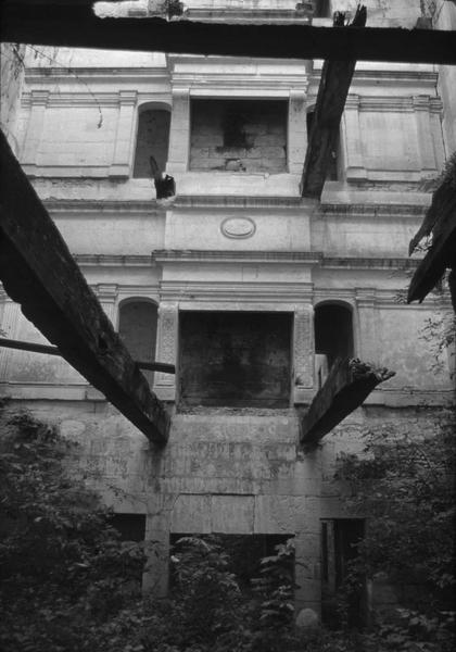 Cheminées du château en ruines