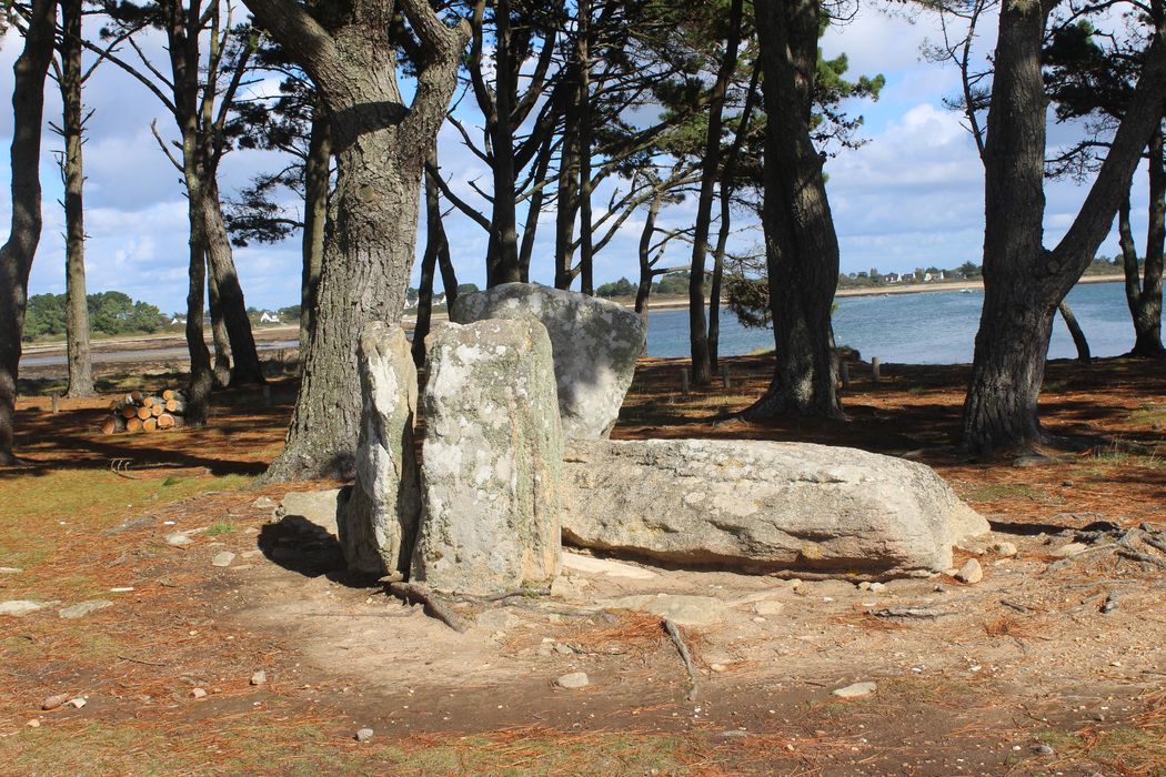 vue générale du dolmen