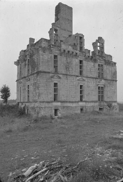 Ensemble du château avant restauration