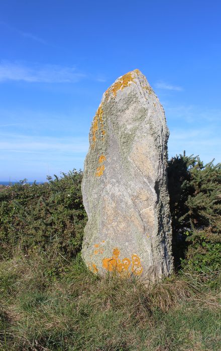 Vue générale du menhir n°1