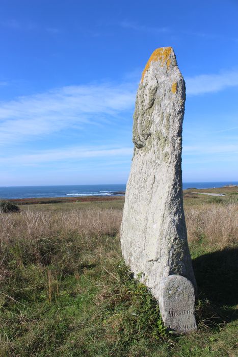 Vue générale du menhir n°2