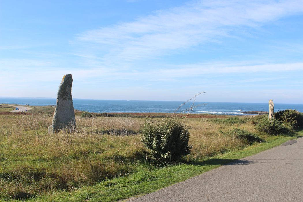 Vue générale des menhirs dans leur environnement depuis le Nord