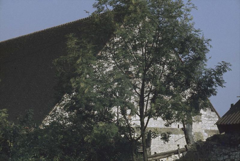 Pignon partiellement caché par un arbre