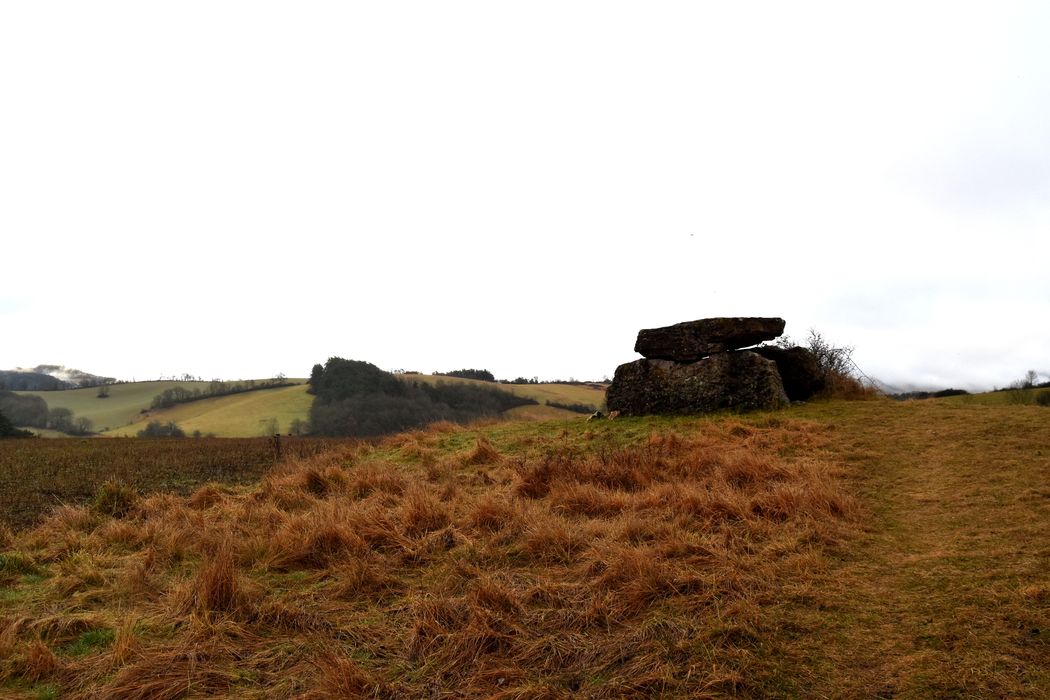 vue générale du dolmen dans son environnement