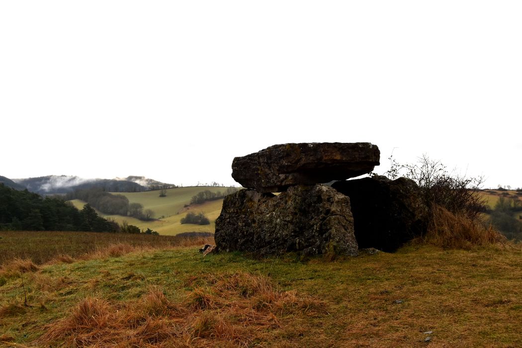 vue générale du dolmen